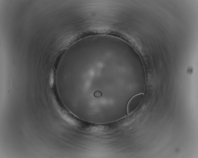X0000091350069200708171440