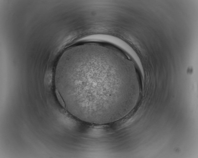 X0000091350072200708171440