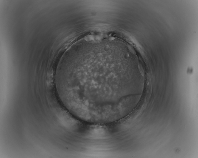 X0000091350073200708171440