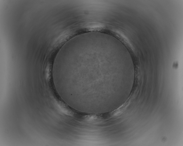 X0000091350074200708171440