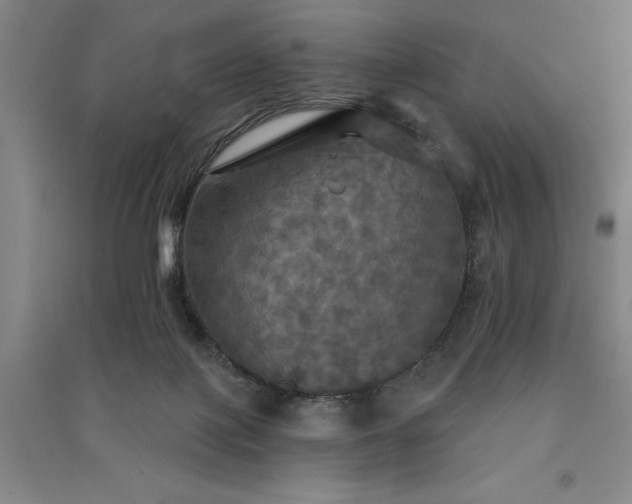 X0000091350075200708171440