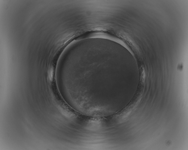 X0000091350076200708171440