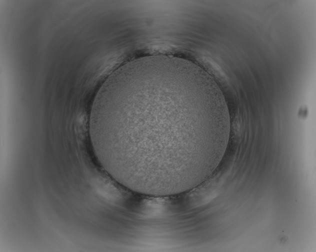 X0000091350079200708171440