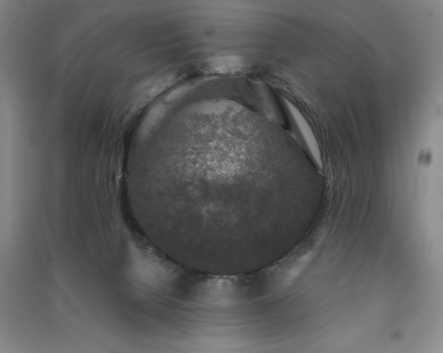 X0000091350080200708171440