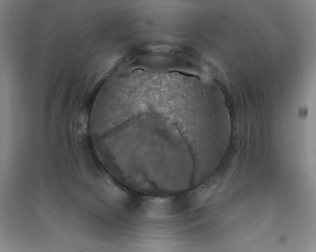 X0000091350081200708171440