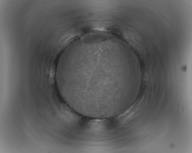 X0000091350082200708171440