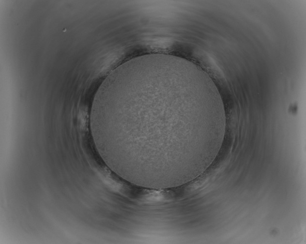 X0000091350083200708171440