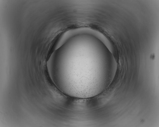 X0000091350084200708171440