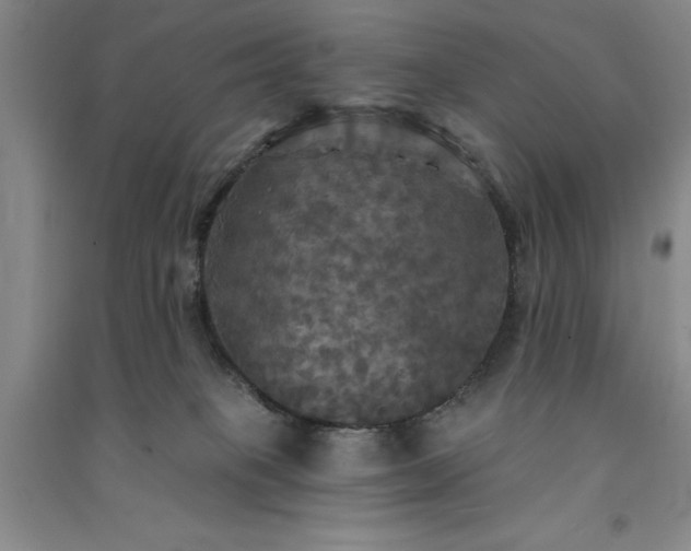 X0000091350085200708171440