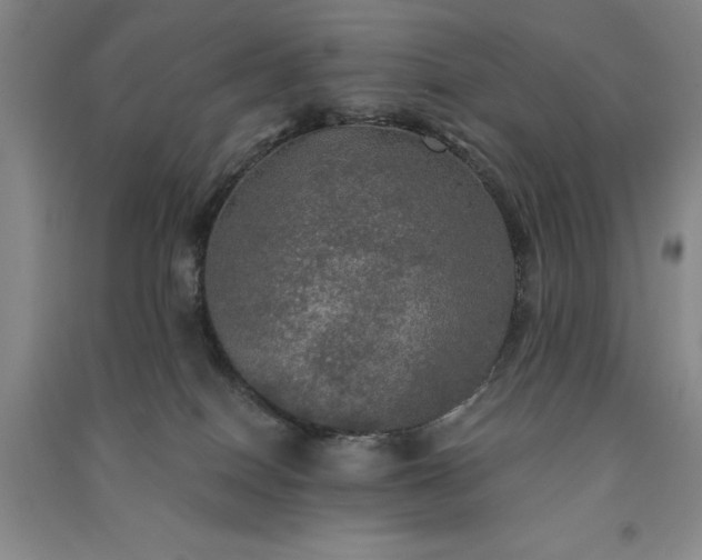 X0000091350086200708171440