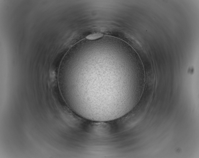 X0000091350087200708171440