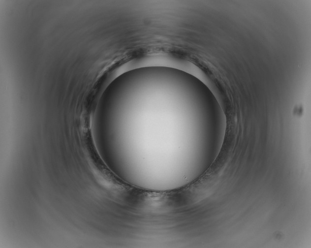 X0000091350088200708171440