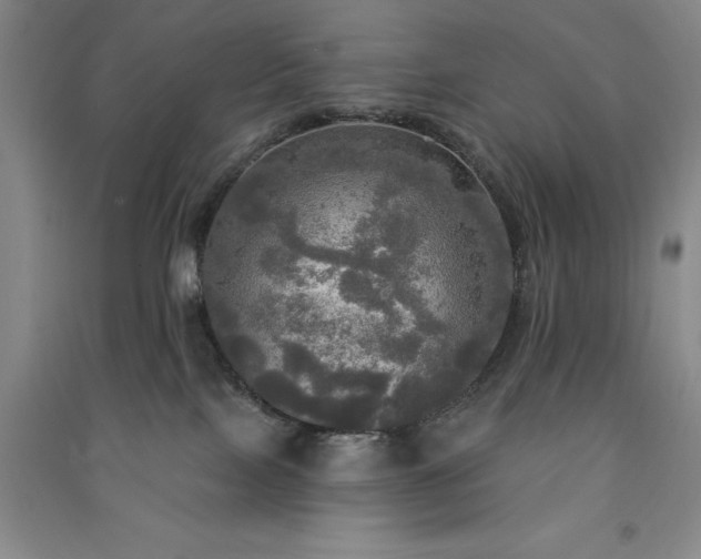 X0000091350089200708171440