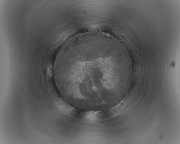 X0000091350090200708171440