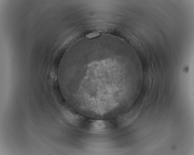 X0000091350091200708171440