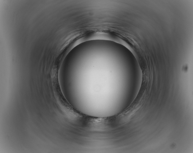 X0000091350092200708171440
