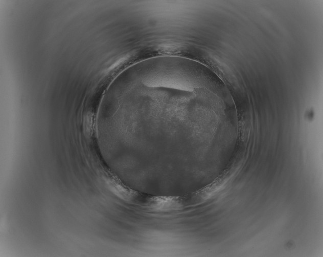 X0000091350093200708171440
