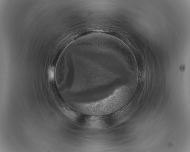 X0000091350095200708171440