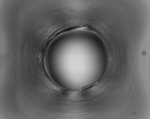 X0000091350096200708171440