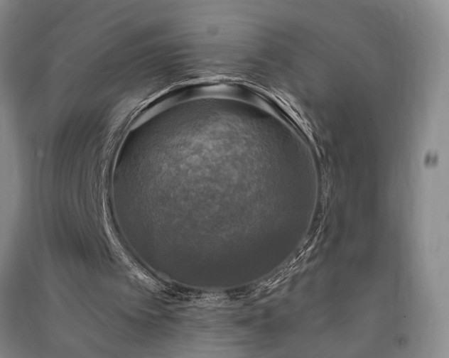 X0000091350097200708171440