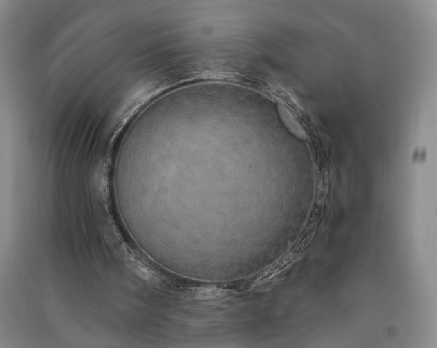 X0000091350098200708171440