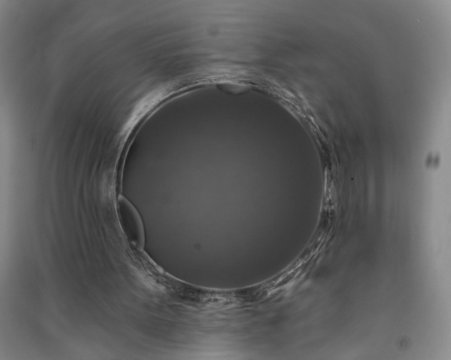 X0000091350099200708171440