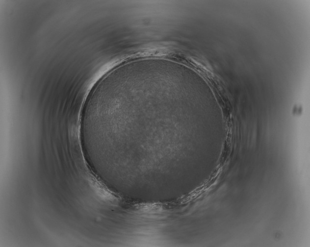 X0000091350100200708171440