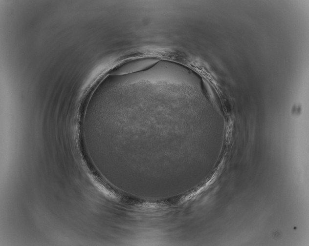 X0000091350101200708171440