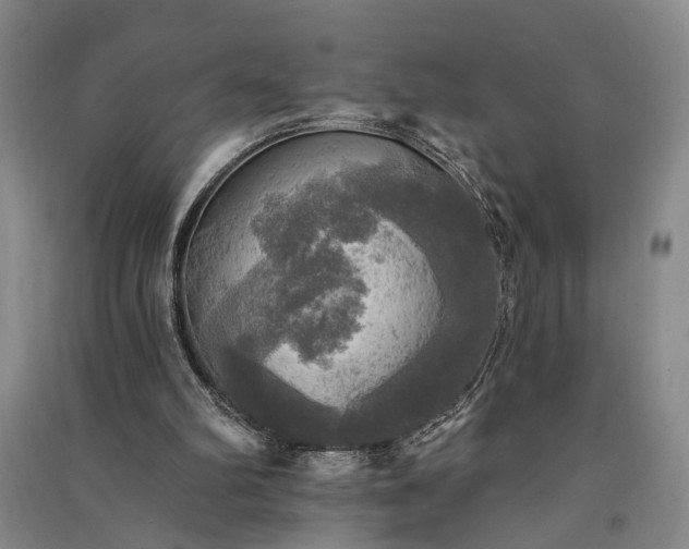 X0000091350102200708171440