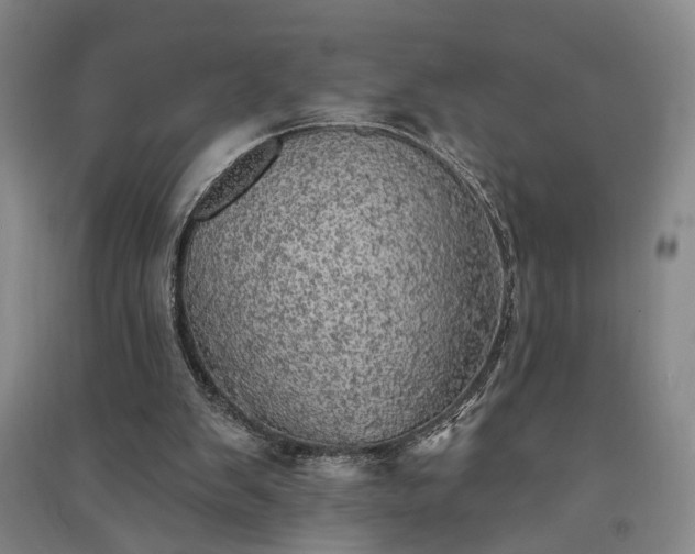 X0000091350103200708171440