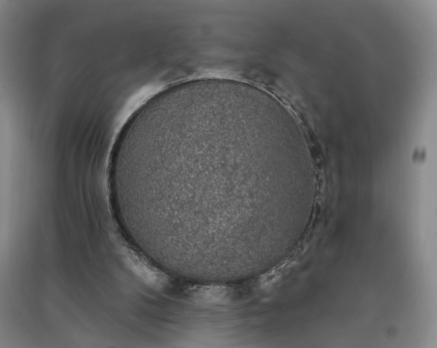 X0000091350104200708171439