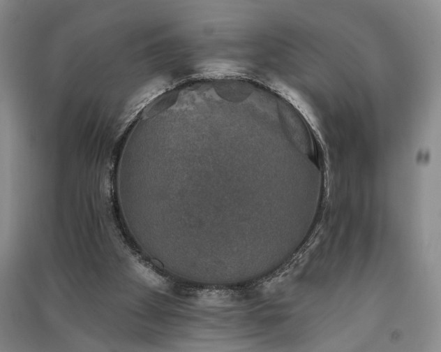 X0000091350105200708171439