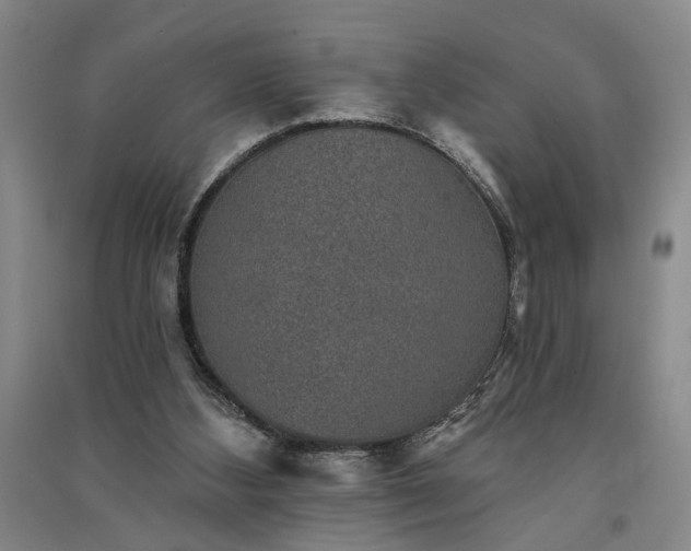 X0000091350108200708171439