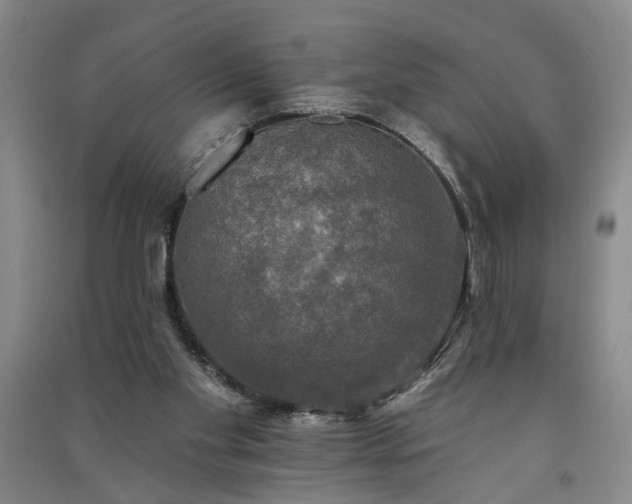 X0000091350109200708171439