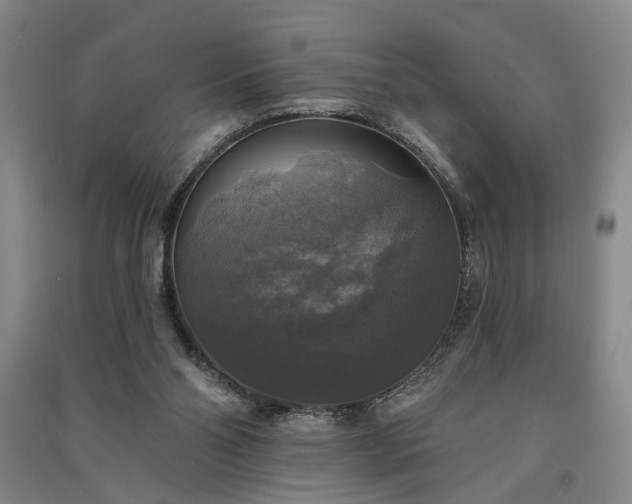 X0000091350110200708171439