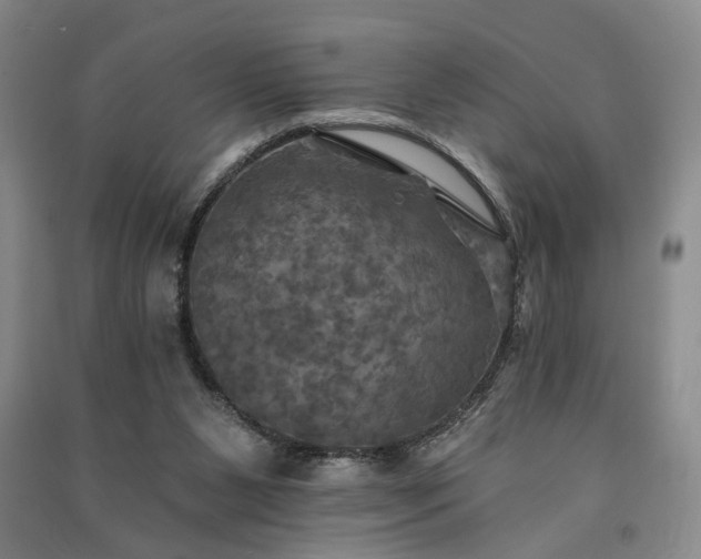 X0000091350111200708171439