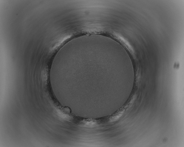X0000091350113200708171439