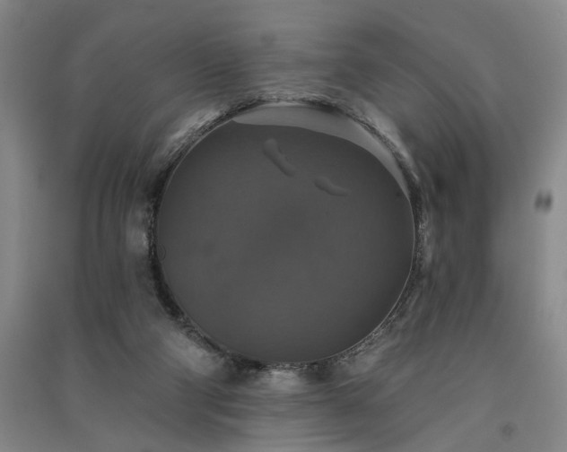 X0000091350114200708171439