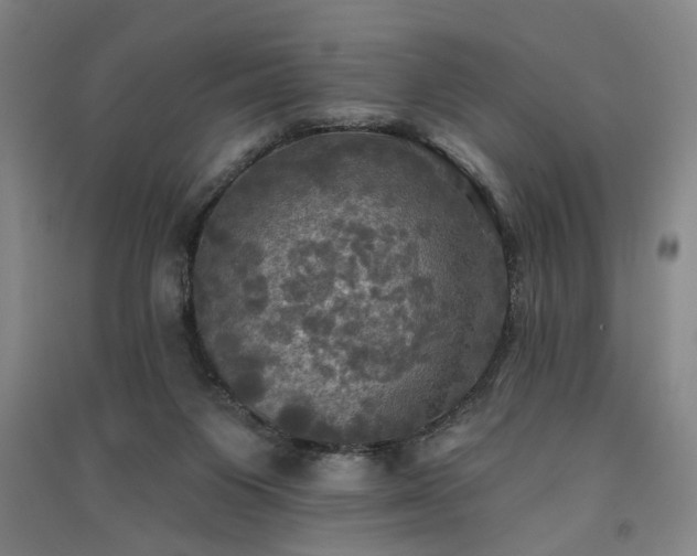 X0000091350119200708171439