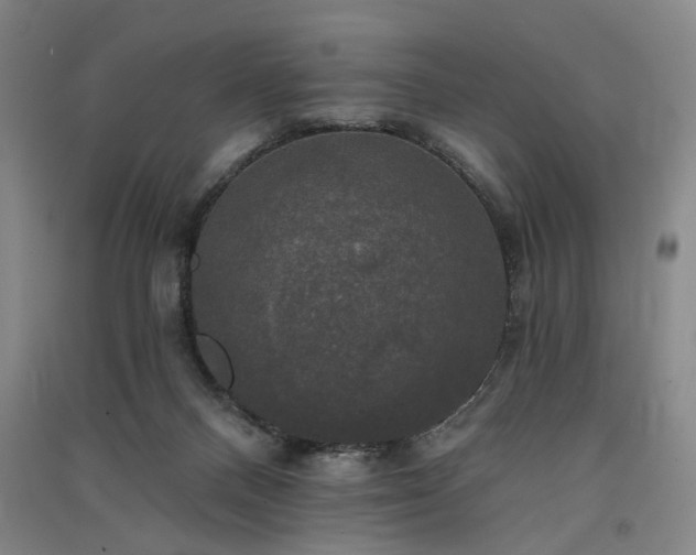 X0000091350120200708171439