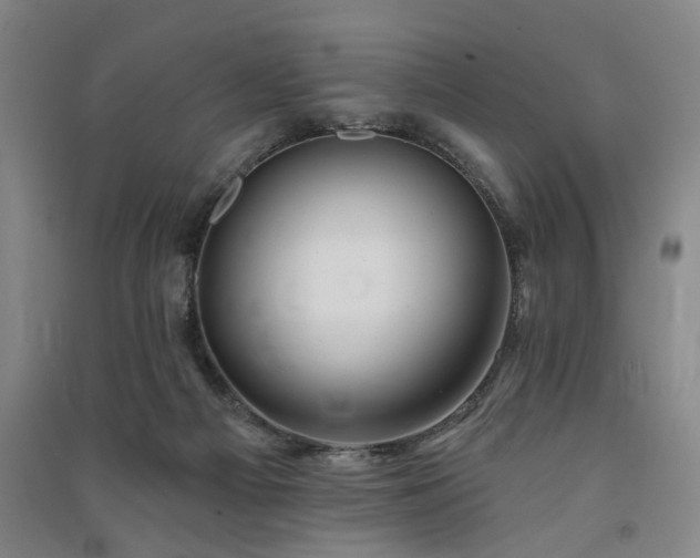 X0000091350121200708171439