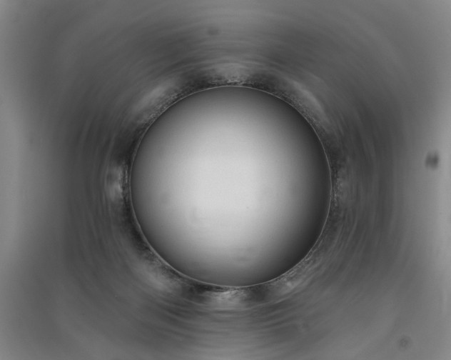 X0000091350122200708171439