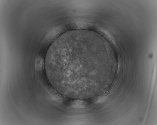 X0000091350123200708171439