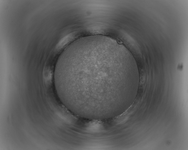 X0000091350124200708171439