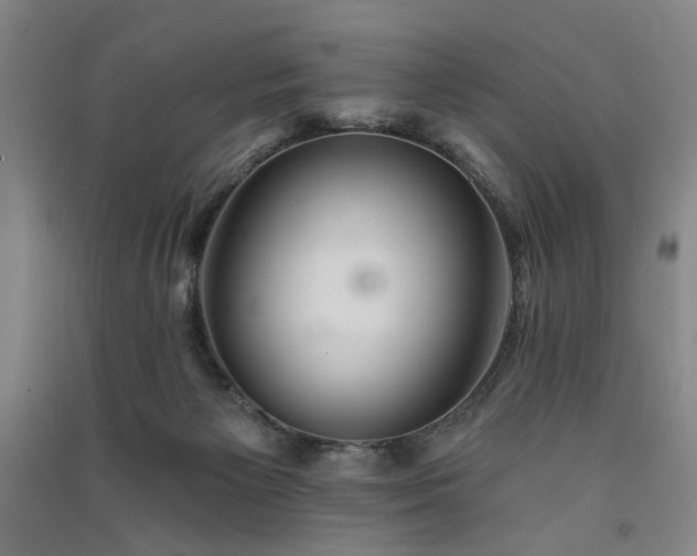 X0000091350125200708171439