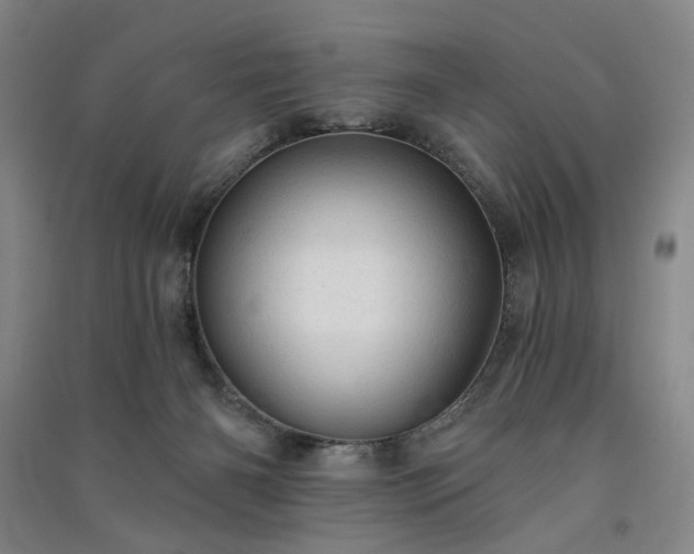 X0000091350126200708171439