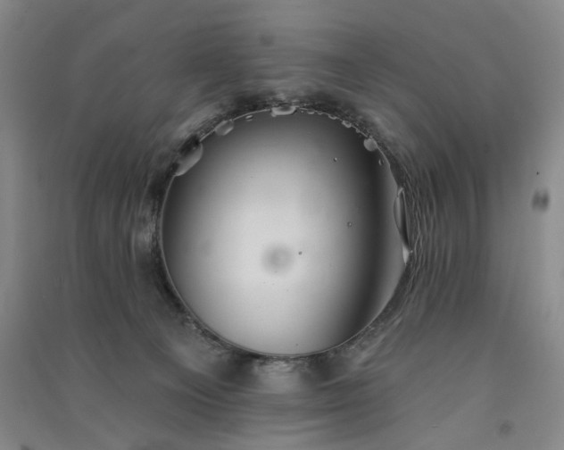X0000091350129200708171439