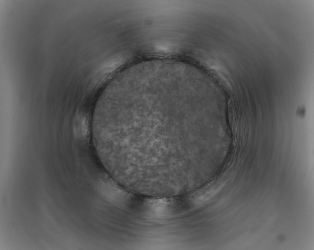 X0000091350131200708171439