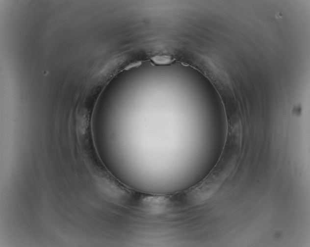 X0000091350133200708171439