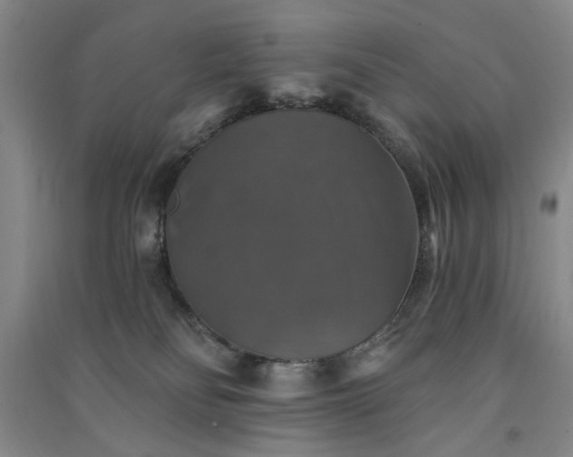 X0000091350134200708171439